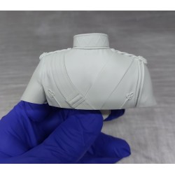 HBP.The Tsar .Eclusive Bust  Scale 1/6