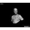 HBP.Nicholas II. Eclusive .Bust  Scale 1/6
