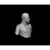 HBP.Nicholas II. Eclusive .Bust  Scale 1/6