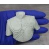 HBP.Nicholas II. Eclusive .Bust  Scale 1/6