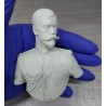 HBP.Nicholas II. Eclusive .Bust  Scale 1/6