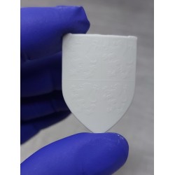 Prince of Wales. Scale 100mm