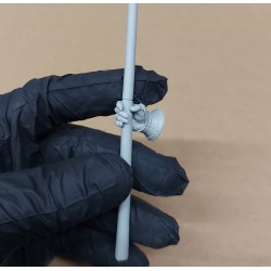 Prince of Wales. Bust  1/10