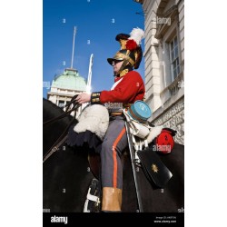 1st Life Guards. Scale 100mm