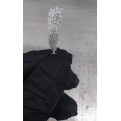 1st Life Guards. Exclusive.Bust 1/10