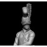 The Royal Horse Guards .Exclusive .Bust 1/10