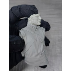 The Royal Horse Guards .Bust 1/10